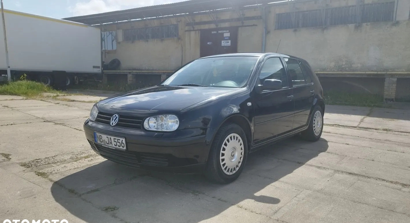 Volkswagen Golf cena 7900 przebieg: 159646, rok produkcji 2002 z Piwniczna-Zdrój małe 529